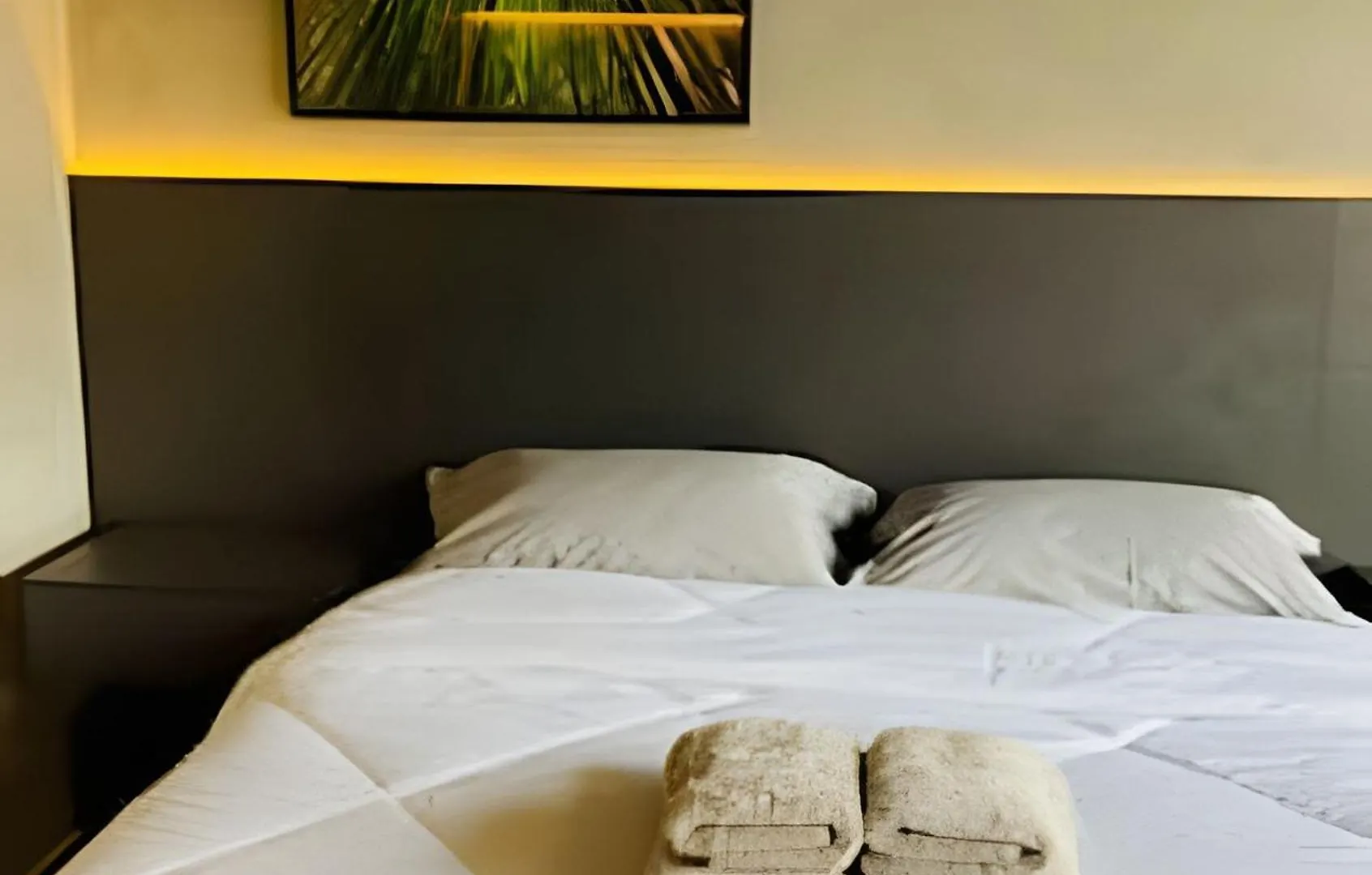 Studio Localizado Na Bela Cintra / Aconchegante Sao Paulo Apartment